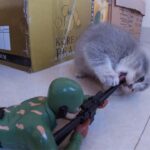 Captain America is defeated by cute kittens.