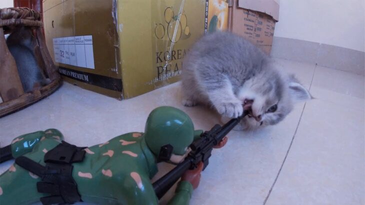 Captain America is defeated by cute kittens.