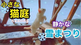 ❄ 小さな猫庭❄雪と氷柱と猫と足跡🐾癒し動画…頭をカラっぽに。ねこlog