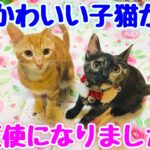 【悲報】かわいい子猫が天使になりました… 😭💔