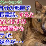 219【猫のほのぼの話】2階の自分の部屋で友人と長電話。すると出られないはずの1階の猫部屋から 『トテトテ』と小さな足音が・・・