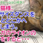 225【猫のほのぼの話・ナレーション付き】うちの猫様、エクササイズダンスを始めるとどこかへ行ってしまう。次にヨガのライオンのポーズをすると・・・