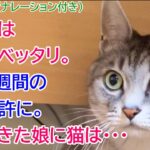 245【猫の不思議な話・ナレーション付き】猫と娘はいつもベッタリ。娘が2週間の合宿免許に。帰ってきた娘に猫は・・・