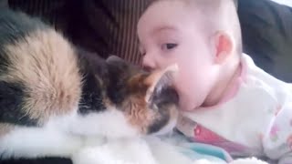 【眠れないほど可愛い】赤ちゃんとペット かわいい犬 かわいい猫 ハプニング 珍プレー 好プレー 動画集