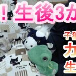 【カメラ生配信】祝！生後3か月！本日の子猫かりんをウェブカメラでリアルタイムお届け。うしとカエルの子猫見守りカメラ生配信🐮🐸🐱🐱【保護】