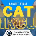 【猫と暮らす】CATCIRCUS！おもしろ動画#shorts