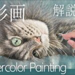 【解説付き】水彩画制作過程 長毛猫【タイムラプス 癒し】【Time-lapse WatercolorPainting 】