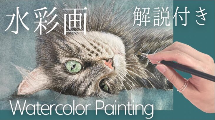 【解説付き】水彩画制作過程 長毛猫【タイムラプス 癒し】【Time-lapse WatercolorPainting 】