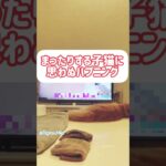 まったりする子猫におそうハプニング【むしろこれが日常】面白動画