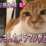 【ねこ】【癒し】おじさんカメラマン参上🐱