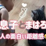 息子と猫のおもしろ動画😂