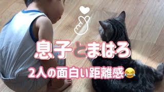 息子と猫のおもしろ動画😂