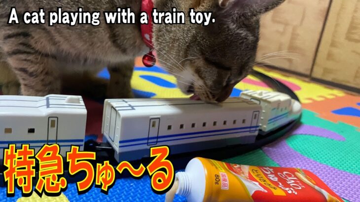 【猫動画】新幹線のおもちゃと猫。回るちゅーるは食べにくいのにゃ　A cat playing with a train toy