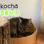 【睡眠用BGM音小さめ】猫と癒し音楽Vol.4