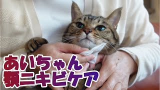 【癒し猫あいちゃんを癒しの音楽とともに～】No.144 あいちゃんの顎ニキビのケア。猫用シャンプーとぬるま湯で、拭いてあげました。