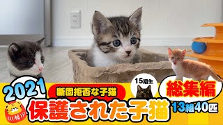 【2021年保護された子猫】「しばらく断固拒否だった」15期生【13組40匹の総集編】