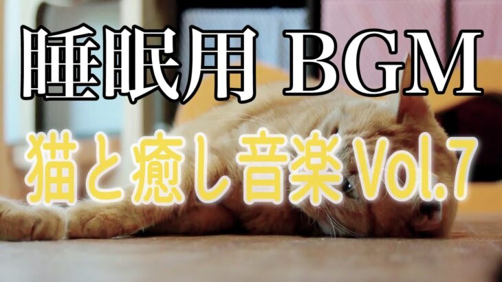 【睡眠用】猫と癒し音楽Vol.7　BGM音小さめ