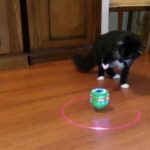 回転体を覚醒させる猫【おもしろ動画】#Shorts