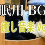 【睡眠用】猫と癒し音楽Vol.14　BGM音小さめ