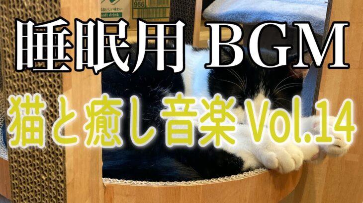 【睡眠用】猫と癒し音楽Vol.14　BGM音小さめ