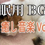 【睡眠用】猫と癒し音楽Vol.17　BGM音小さめ