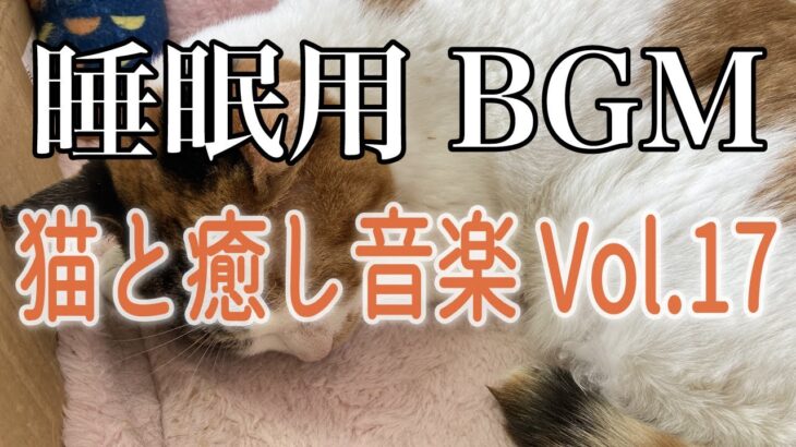 【睡眠用】猫と癒し音楽Vol.17　BGM音小さめ