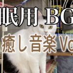 【睡眠用】猫と癒し音楽Vol.21　BGM音小さめ