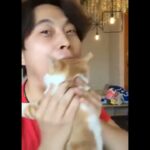 CATS 🐱😍 かわいい猫 –  おもしろ猫 – Cutest Cats – Funny Cats #EP05