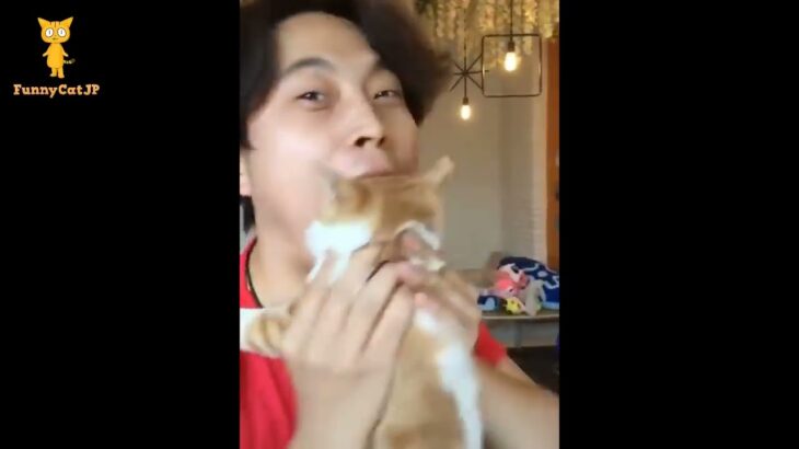 CATS 🐱😍 かわいい猫 –  おもしろ猫 – Cutest Cats – Funny Cats #EP05