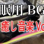 【睡眠用BGM音小さめ】猫と癒し音楽Vol.30