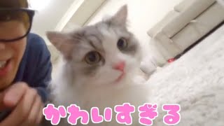 【癒し】テオくんの猫ちゃんかわいすぎる♡【スカイピース切り抜き】