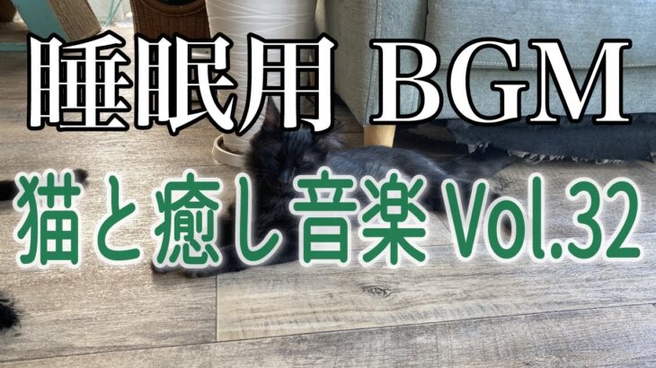 【睡眠用BGM音小さめ】猫と癒し音楽Vol.32