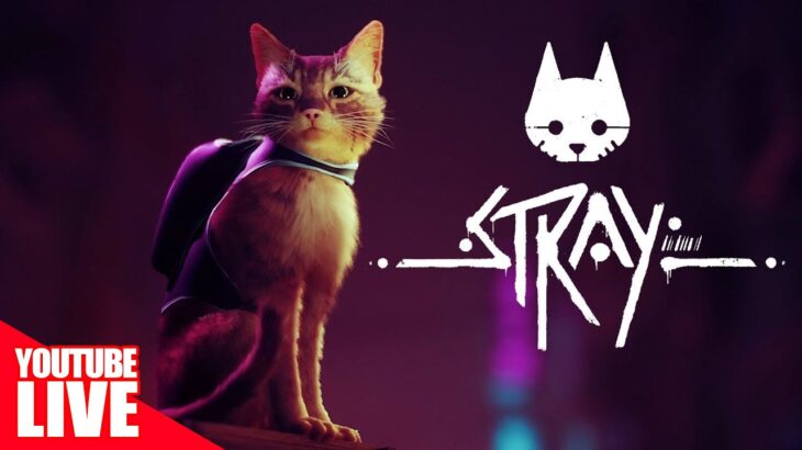 【Stray】サイバーパンクの世界を駆け回る猫が超絶かわいいと聞いて