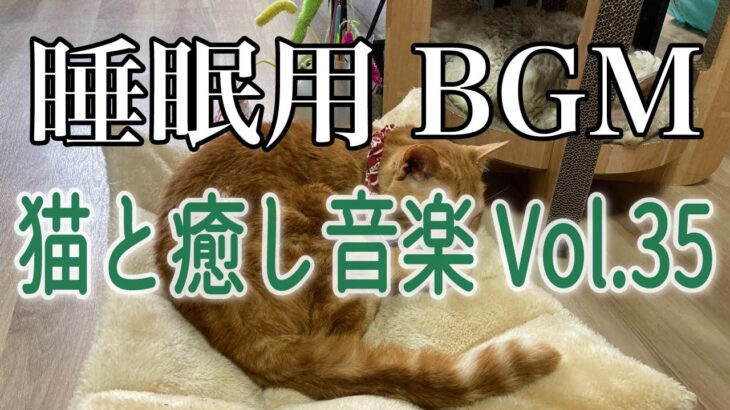 【睡眠用BGM音小さめ】猫と癒し音楽 Vol.35