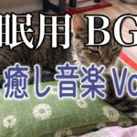 【睡眠用BGM音小さめ】猫と癒し音楽 Vol.36