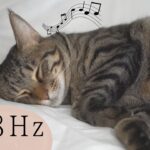 528Hz【猫が落ち着く音楽】猫も人もリラックスできる〜癒し猫動画～ストレス緩和・リラックスのための音楽