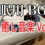【睡眠用BGM音小さめ】猫と癒し音楽Vol.40