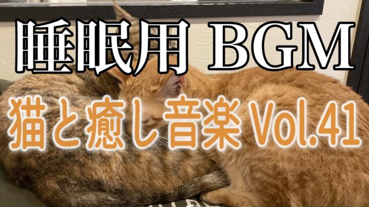 【睡眠用BGM音小さめ】猫と癒し音楽Vol.41