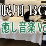 【睡眠用BGM音小さめ】猫と癒し音楽Vol.42