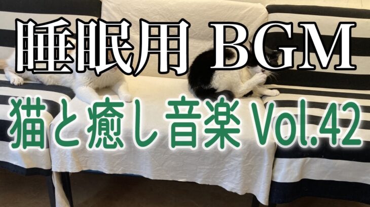 【睡眠用BGM音小さめ】猫と癒し音楽Vol.42