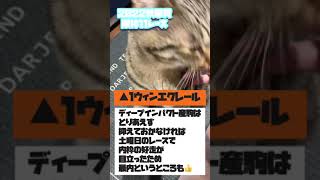 【競馬予想】2022秋華賞/猫