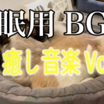 【睡眠用BGM音小さめ】猫と癒し音楽Vol.43