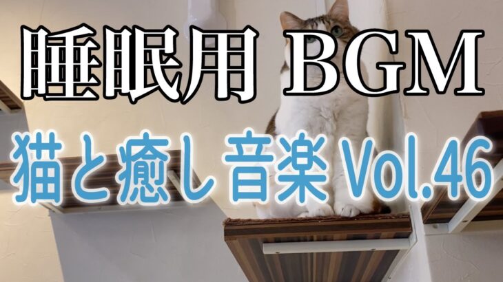 【睡眠用BGM音小さめ】猫と癒し音楽Vol.46