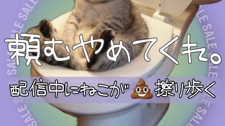 【ハプニング】頼むやめてくれ。配信中に猫がう○こすり歩く。-原神