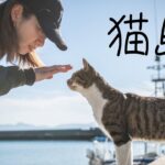 【島旅】猫の島。熊本県の湯島で200匹の猫ちゃんに癒しを求めて。