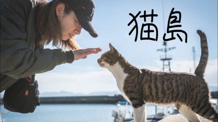 【島旅】猫の島。熊本県の湯島で200匹の猫ちゃんに癒しを求めて。