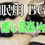 【睡眠用BGM音小さめ】猫と癒し音楽Vol.47