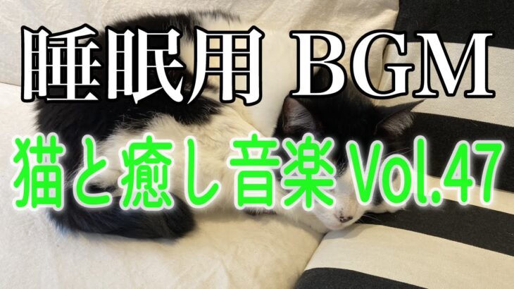 【睡眠用BGM音小さめ】猫と癒し音楽Vol.47