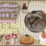 Cats Rescue SOS ! 猫を救え！の巻★Animals Cute 可愛い ハプニング My Cats’s bed torn, Lucy can’t go out!　猫ちゃんあるある