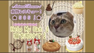 Cats Rescue SOS ! 猫を救え！の巻★Animals Cute 可愛い ハプニング My Cats’s bed torn, Lucy can’t go out!　猫ちゃんあるある